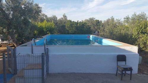 imagen 4 de Venta de finca de olivos con casa en Carmona