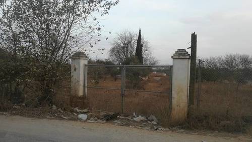 imagen 1 de Venta de finca con olivos en Dos Hermanas