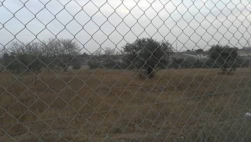 imagen 1 de Venta de finca con olivos en Dos Hermanas