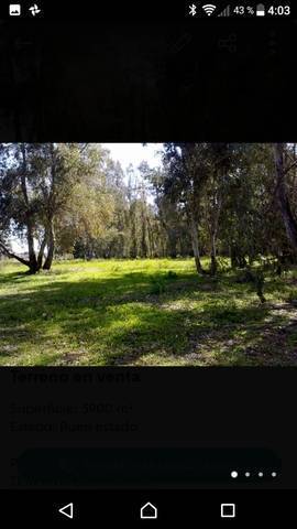 imagen 1 de Venta de finca rústica con pozo en Arhal