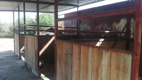 imagen 1 de Venta de terreno ideal para guardar caballos