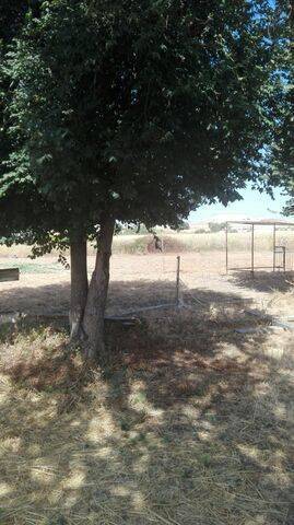 imagen 4 de Venta de terreno ideal para guardar caballos