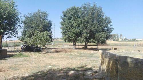 imagen 5 de Venta de terreno ideal para guardar caballos