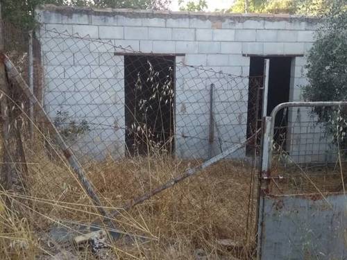 imagen 2 de Venta de parcela con olivos y alcornoques en cazalla