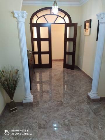 imagen 2 de Venta de finca con olivos y casa en