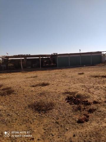 imagen 6 de Venta de finca con olivos y casa en