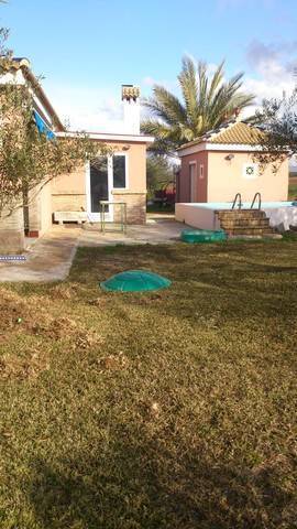 imagen 1 de Venta de parcela con chalet y zona ajardinada en Carmona