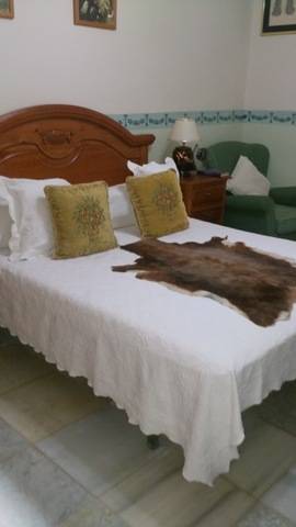 imagen 4 de Venta de parcela con chalet y zona ajardinada en Carmona