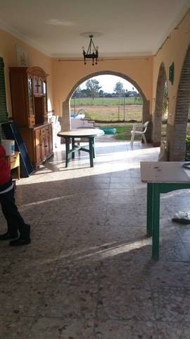 imagen 6 de Venta de parcela con chalet y zona ajardinada en Carmona