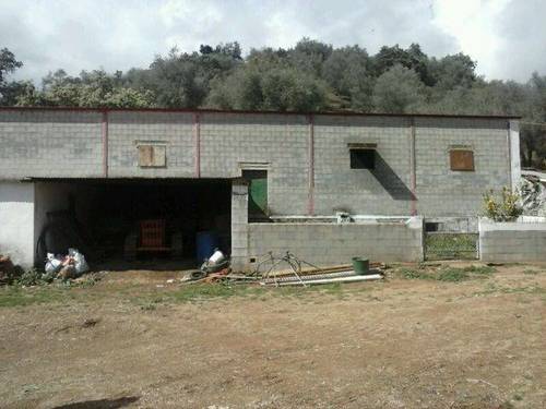 imagen 1 de Venta de olivar y cortijo en Constantina (Sevilla)
