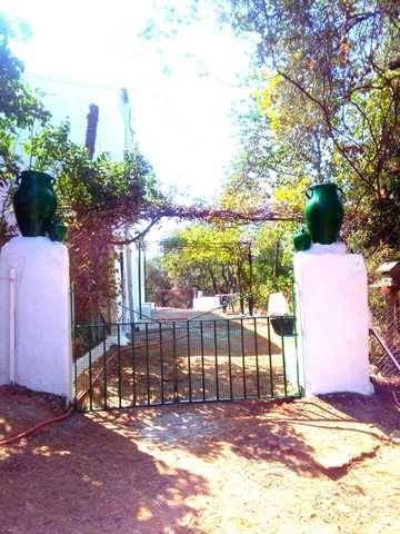 imagen 5 de Venta de olivar y cortijo en Constantina (Sevilla)