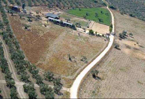 imagen 3 de Estupenda finca con instalaciones hípicas