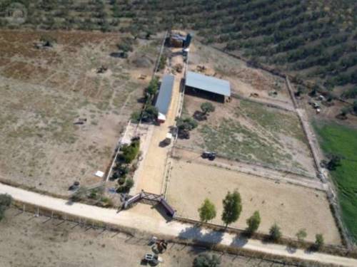 imagen 4 de Estupenda finca con instalaciones hípicas