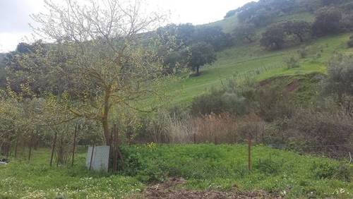 imagen 1 de Venta de finca con cortijo en Morón de la Frontera (Sevilla)