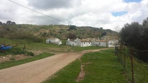 imagen 1 de Venta de finca con cortijo en Morón de la Frontera (Sevilla)