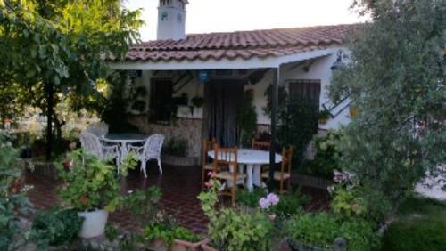 imagen 2 de Venta de finca con cortijo y boxes para caballos en Sevilla