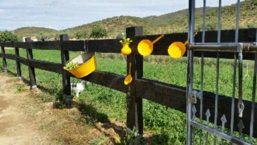 imagen 3 de Venta de finca con cortijo y boxes para caballos en Sevilla