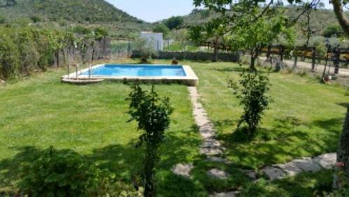 imagen 6 de Venta de finca con cortijo y boxes para caballos en Sevilla