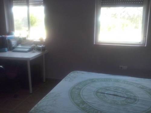 imagen 2 de Venta de parcela con chalet en Castilblanco de los arroyos