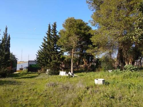 imagen 1 de Finca rústica con pequeña construcción en Alcalá de Guadaira