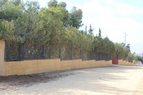 imagen 4 de Finca rústica con pequeña construcción en Alcalá de Guadaira