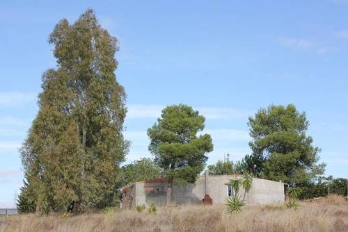 imagen 2 de Finca rústica con pequeña construcción en Alcalá de Guadaira