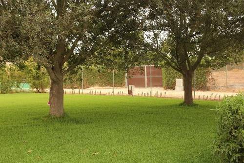 imagen 3 de Venta de casa con terreno en Utrera (Sevilla)