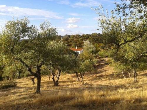 imagen 1 de Venta de finca y casa en Guadalcanal