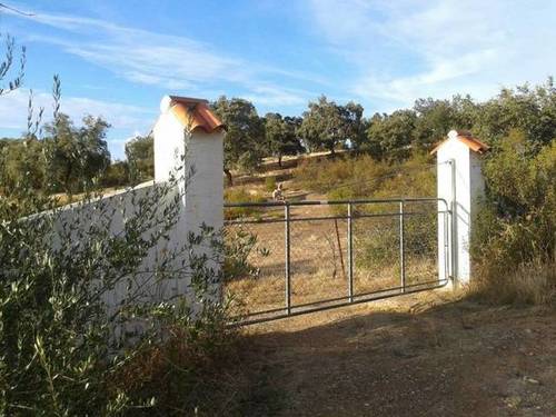 imagen 6 de Venta de finca y casa en Guadalcanal
