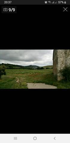 imagen 2 de Finca con casería y lagar en Cazalla de la Sierra (Sevilla)