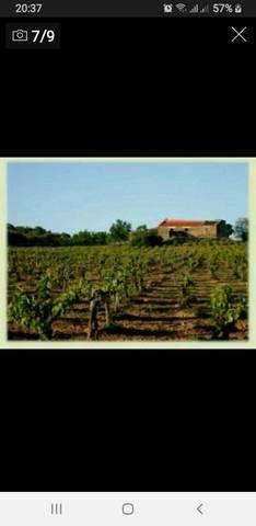 imagen 4 de Finca con casería y lagar en Cazalla de la Sierra (Sevilla)