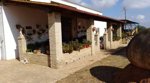 imagen 1 de Terreno con casa y boxes para caballos en Pilas (Sevilla)