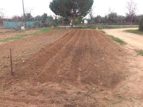 imagen 2 de Venta de finca a 10 min de Sevilla