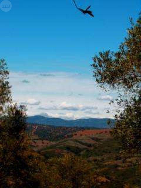 imagen 1 de Venta de finca vallada en Almadén de la Plata
