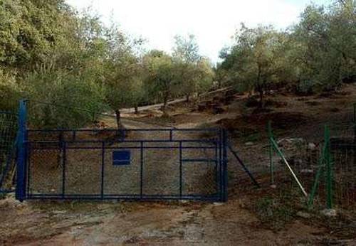 imagen 3 de Venta de finca vallada en Almadén de la Plata