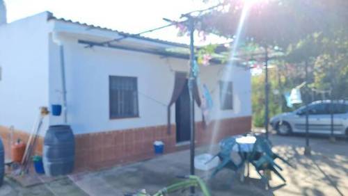 imagen 2 de Venta de olivar con casa
