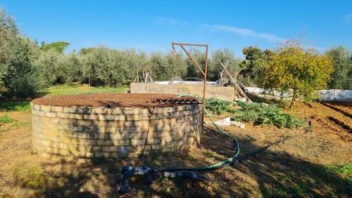 imagen 1 de Venta de olivar con casa