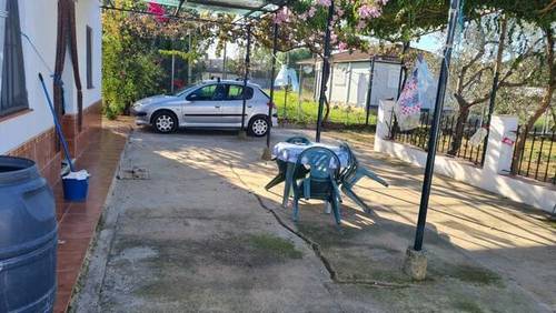 imagen 5 de Venta de olivar con casa