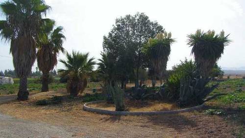 imagen 1 de Venta de finca con casa en Lebrija