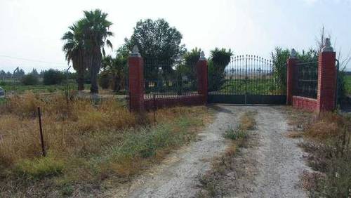 imagen 2 de Venta de finca con casa en Lebrija
