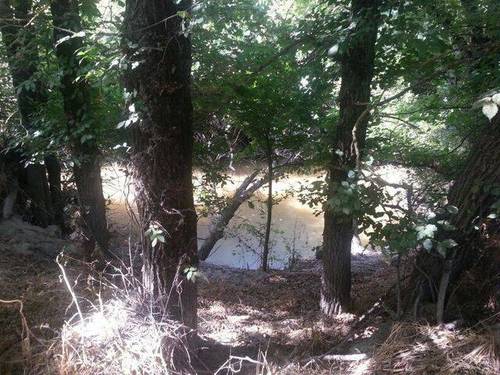 imagen 3 de Venta de olivar con buen acceso en Arahal