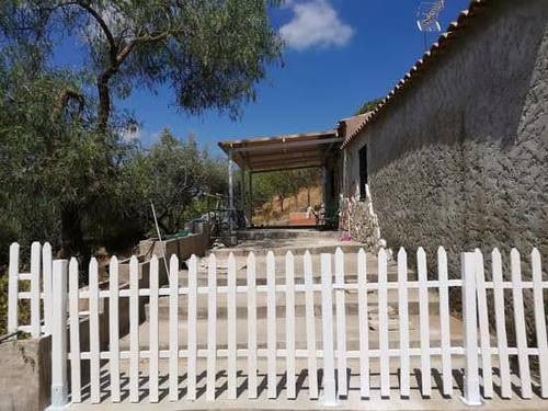 imagen 2 de Venta de olivar con casa en El Pedroso (Sevilla)