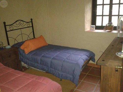 imagen 6 de Venta de olivar con casa en El Pedroso (Sevilla)