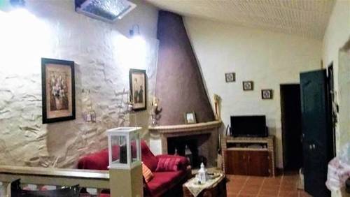 imagen 3 de Venta de olivar con casa en El Pedroso (Sevilla)