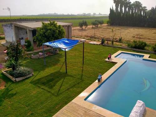 imagen 1 de Venta de finca con casa y viñedo en Dos Hermanas