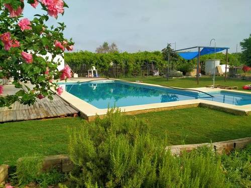 imagen 1 de Venta de finca con casa y viñedo en Dos Hermanas