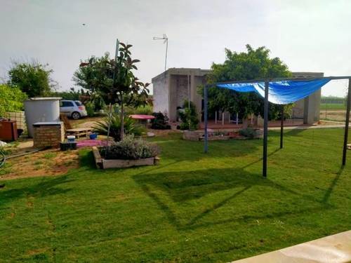 imagen 5 de Venta de finca con casa y viñedo en Dos Hermanas