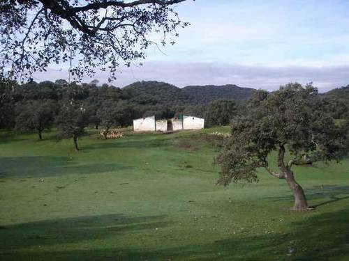 imagen 2 de Venta de finca de gran extensión en Puebla de los Infantes