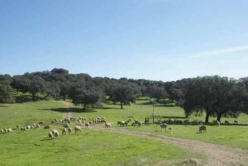 imagen 1 de Venta de finca de gran extensión en Puebla de los Infantes