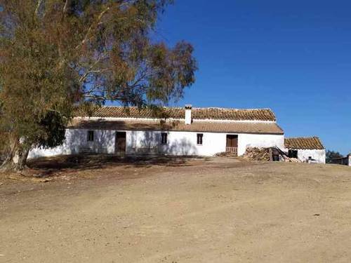 imagen 8 de Venta de finca de gran extensión en Puebla de los Infantes